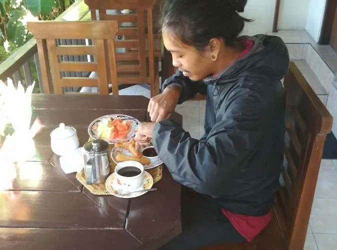 Guest house Made Homestay Munduk 2*