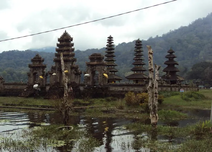 Guest house Made Homestay Munduk