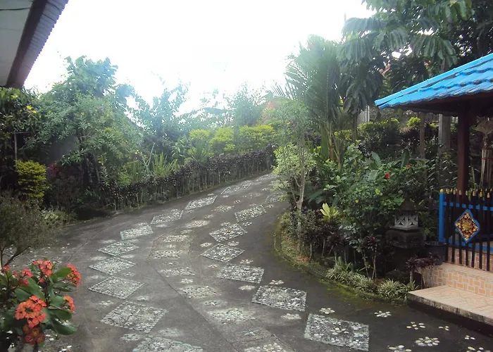 Guest house Made Homestay Munduk 2*