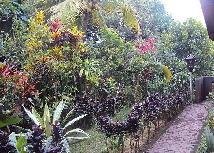 Made Homestay Munduk 2* Munduk (Bali)