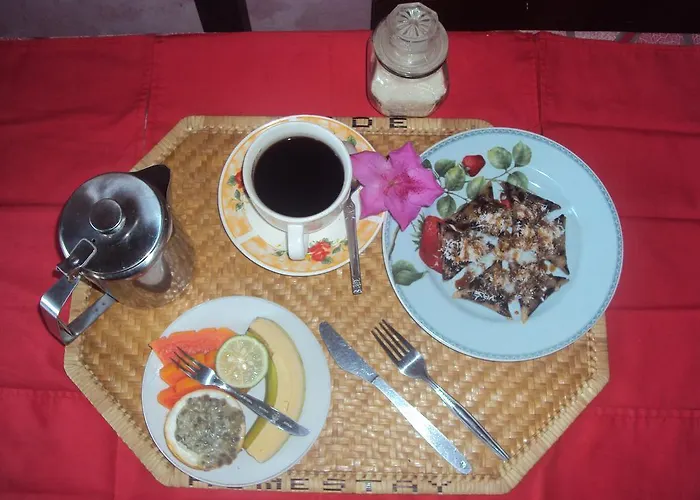 Made Homestay Munduk 2*