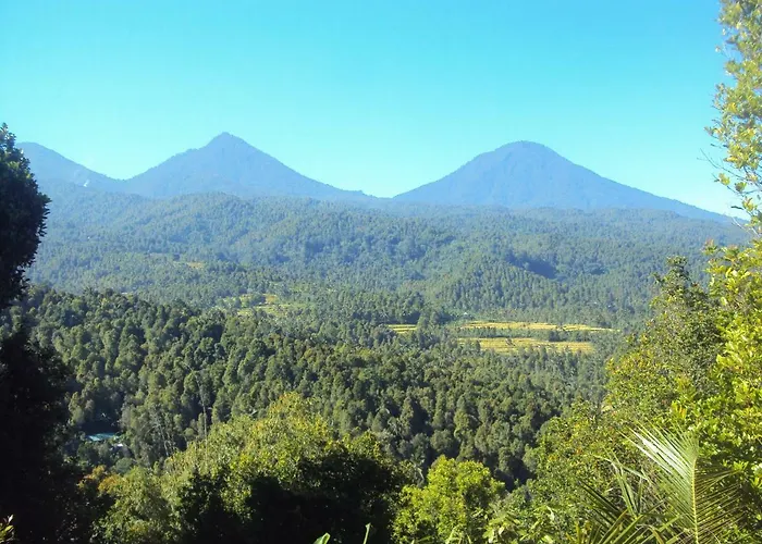 Made Homestay Munduk 2* Munduk (Bali)